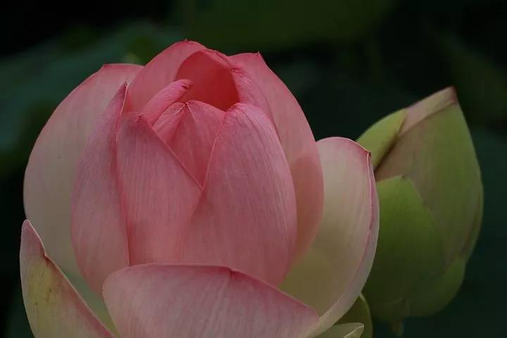 ��������ǵ���Ϊ�������У���������ٵĽ��ѽз���