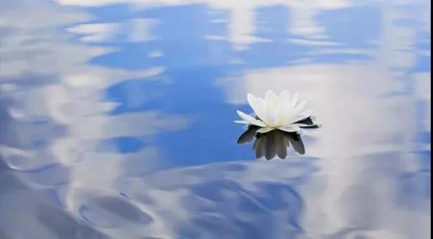 西方极乐净土是真的存在吗? 西方极乐净土是真的存在吗?