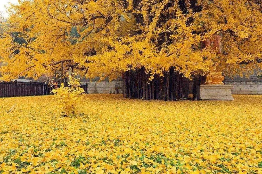 人生就是一种修行,自悟体验生活真谛 人生就是一种修行,自悟体验生活真谛