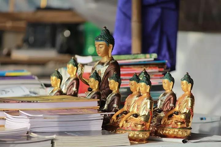 ѧ���ǽ����Լ��������Լ����������ġ���������