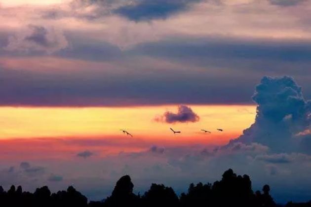 ��ô���в���Ԥ֪ʱ����