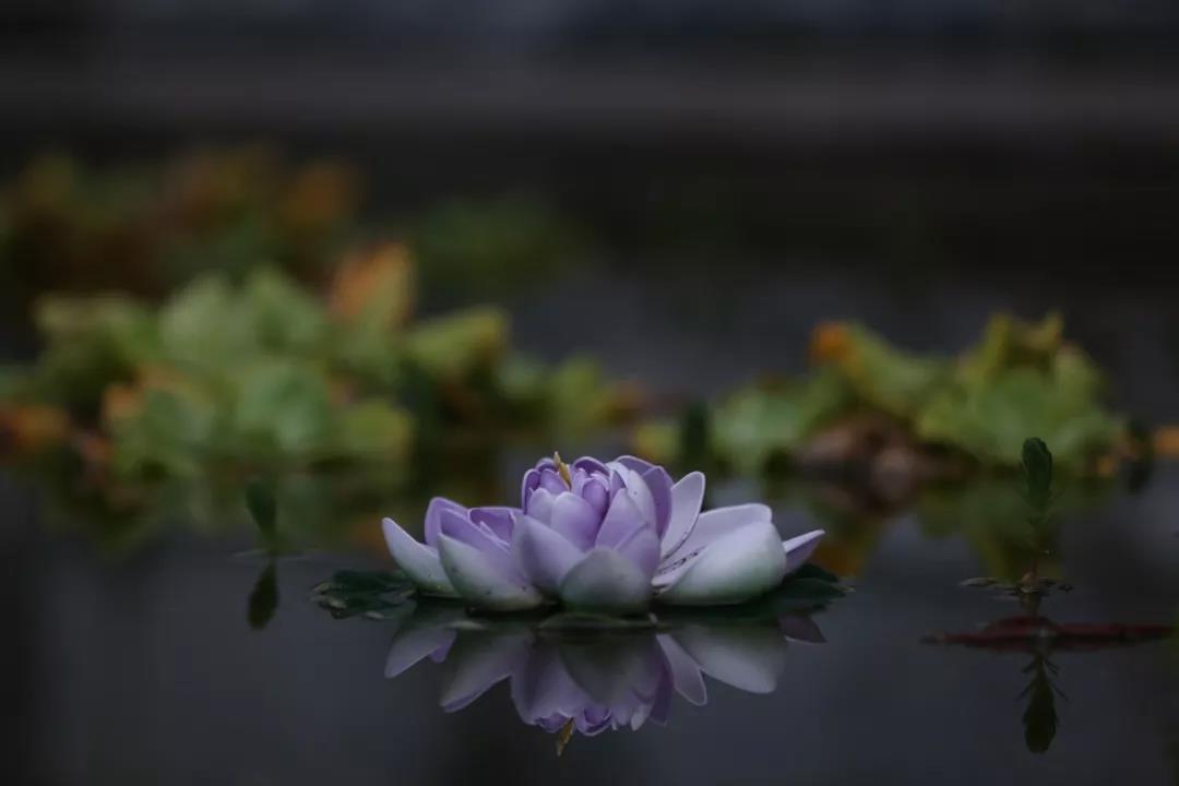 走上正确修行之路的七个关键性指标 走上正确修行之路的七个关键性指标