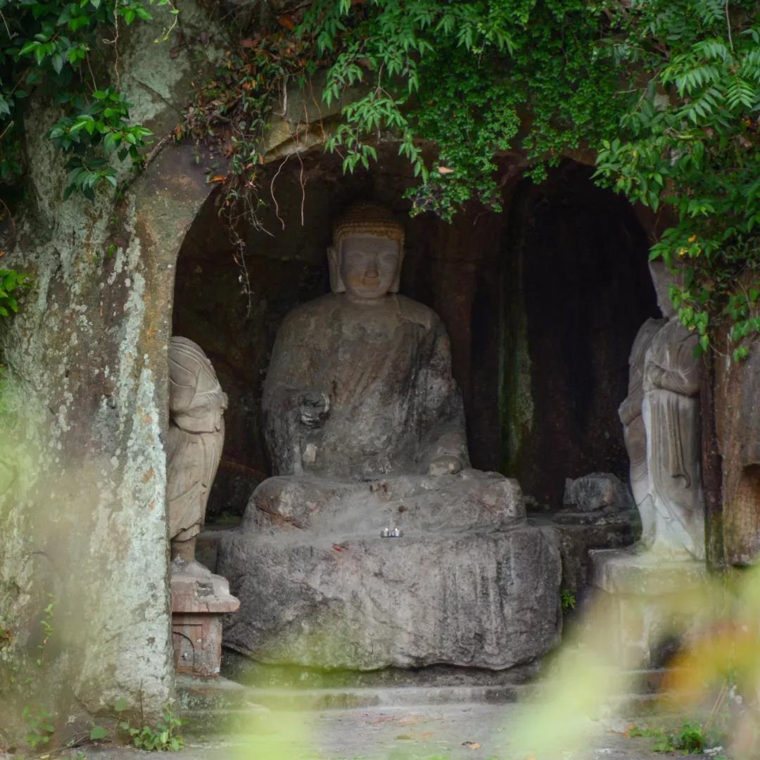 �����ѧ�����桰�ҡ�ѧ