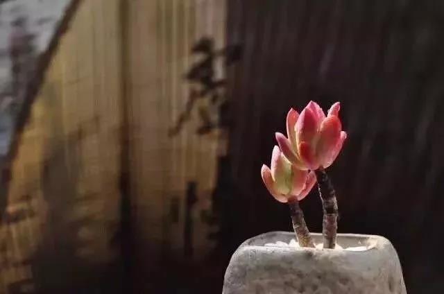 在凡夫层面上,有病还是要到医院看 在凡夫层面上,有病还是要到医院看