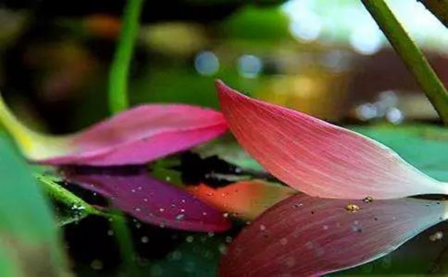 ����������_��_������_��_��