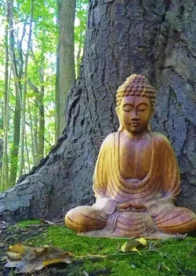 这世上没有一个人会让你痛苦 这世上没有一个人会让你痛苦