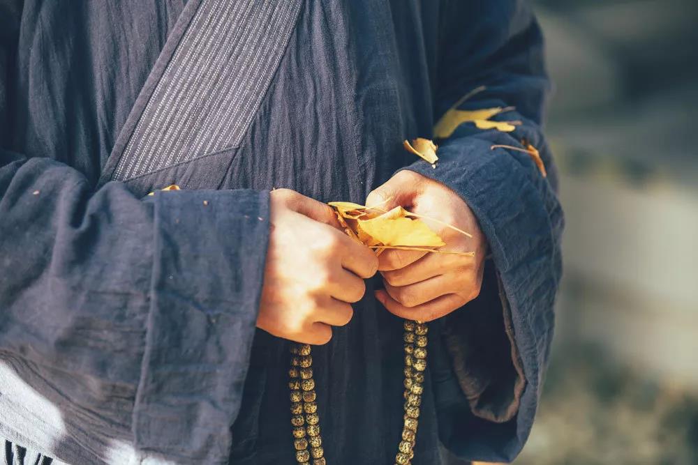 ���������ǻ۵Ĵȱ����������׸������µĴȱ�