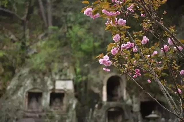 �����������շ�����ʱʱ�̿����޳���