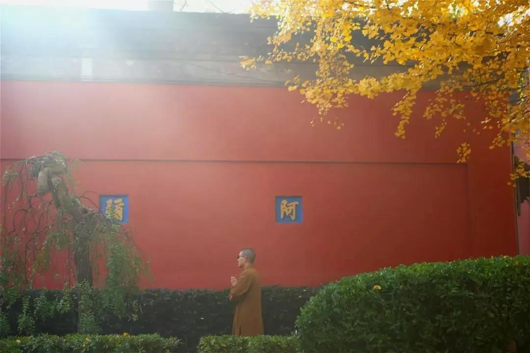 念佛念破嘴,拜佛拜断腿,性子若不改,也是地狱鬼 念佛念破嘴,拜佛拜断腿,性子若不改,也是地狱鬼