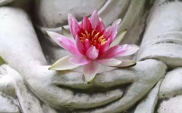 ���������У����ֳ��Һ��ڼ���