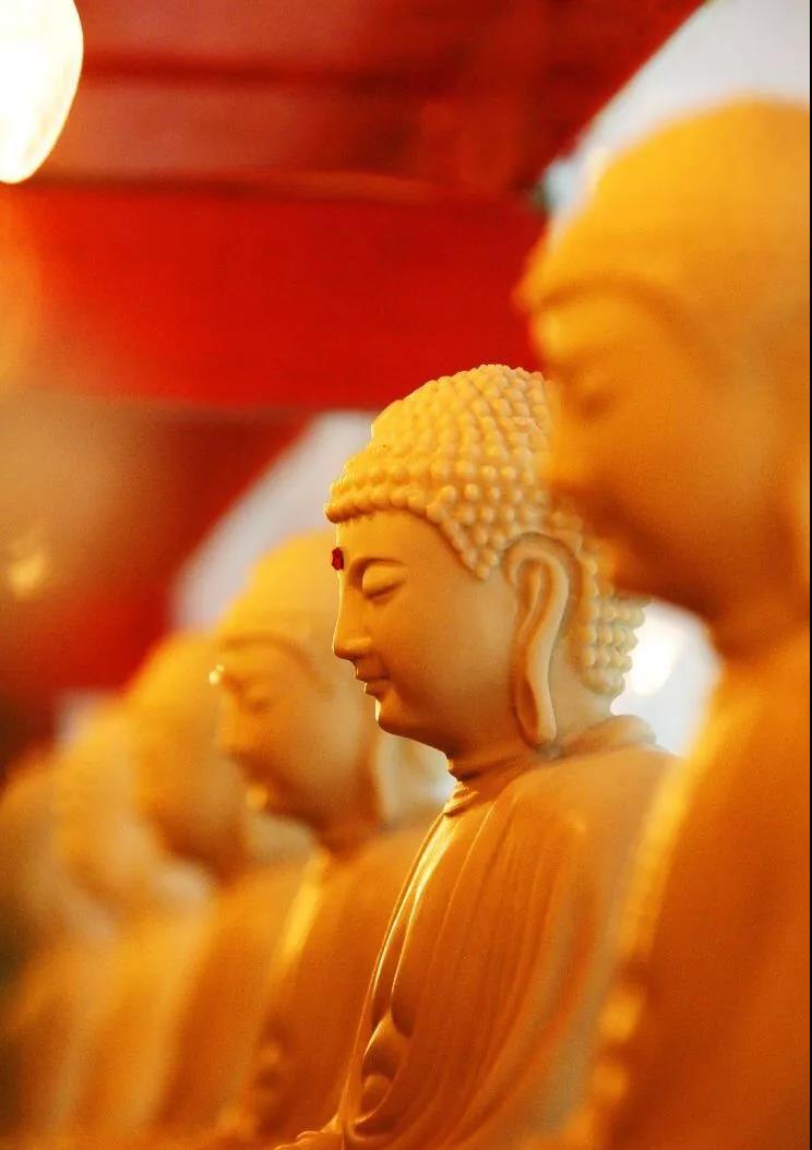 ѧ���������������˵������ä��Ϲ����