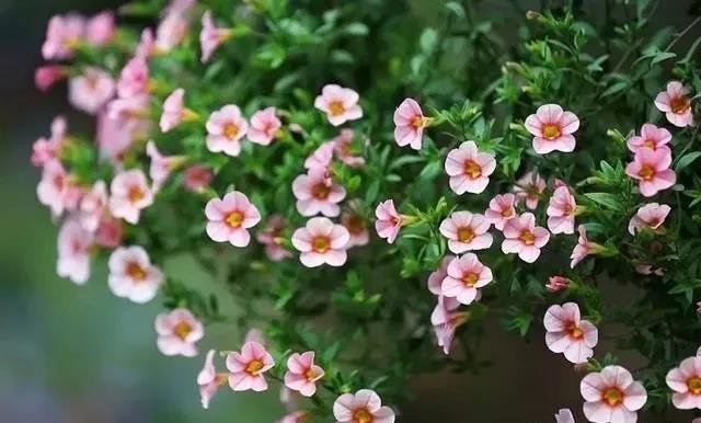 ѧ���������������˵������ä��Ϲ����