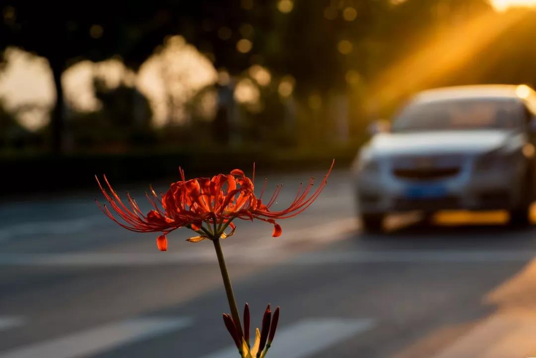 ����һ��Ŭ�����������ڶԿ�����������˲�������