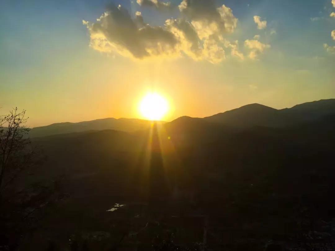 �߸��ܶ�����֪��һλ������ʦ����¼��11����ʵ����