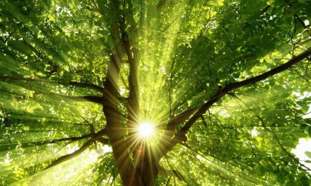 �߸��ܶ�����֪��һλ������ʦ����¼��11����ʵ����