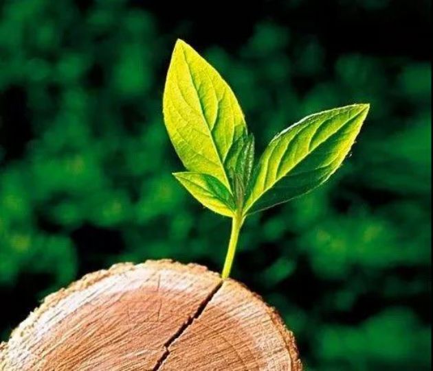 �߸��ܶ�����֪��һλ������ʦ����¼��11����ʵ����