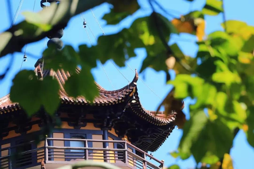 禅堂里是讲“心地法门”,自己的心才是真佛! 禅堂里是讲“心地法门”,自己的心才是真佛!