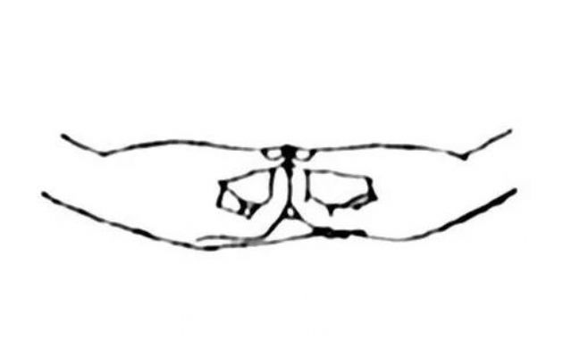 �����ӷ����ӡ����Щ�������ӷ���ӡͼ��