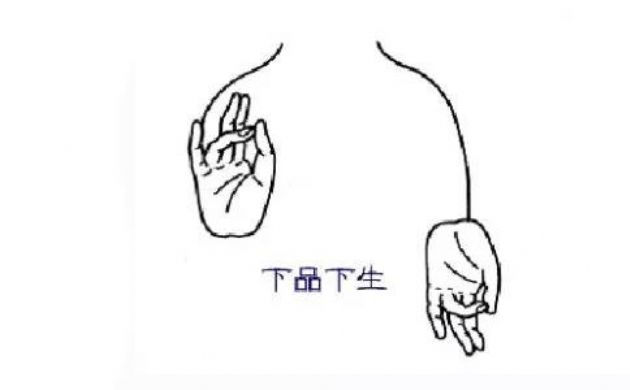 �����ӷ����ӡ����Щ�������ӷ���ӡͼ��