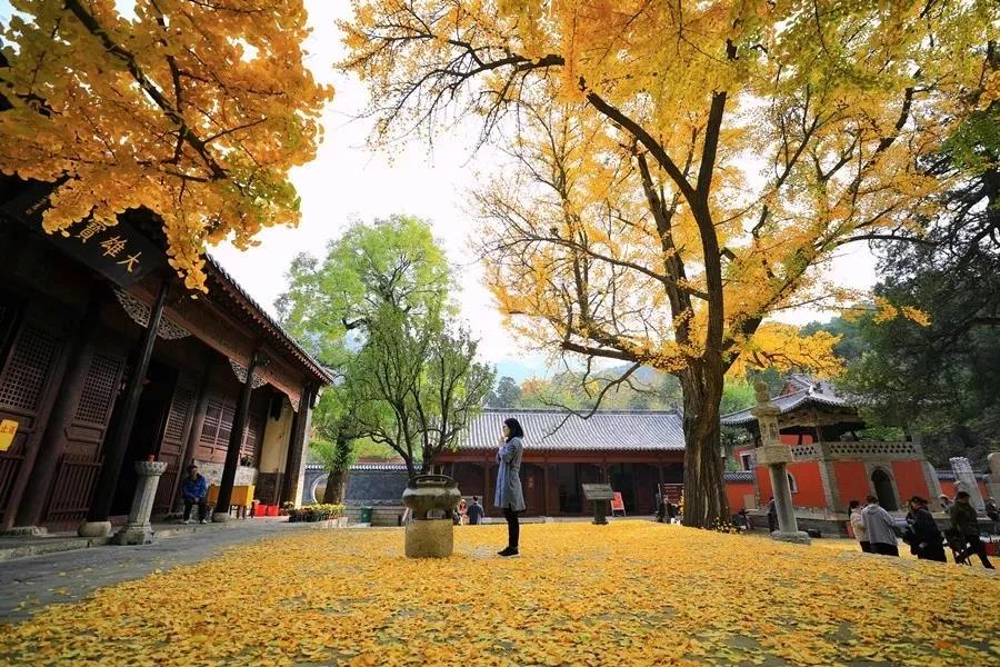 什么是专修?什么是圆修?什么是杂修? 什么是专修?什么是圆修?什么是杂修?