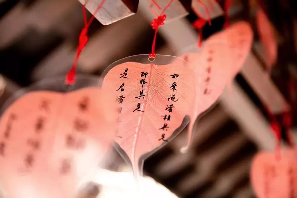 人生是自己的,不是给别人看的 人生是自己的,不是给别人看的