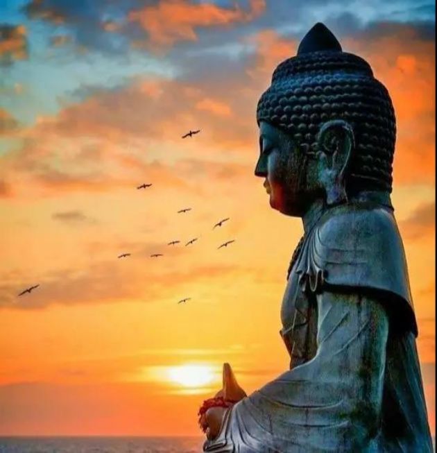 ѧ��󻹻ᷳ�ղ��ϣ�������û��ѧ������û��������