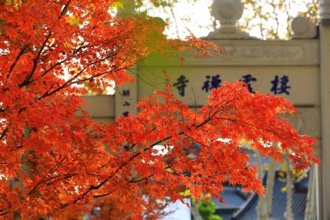 我们总以为来日方长,却忘了世事无常! 我们总以为来日方长,却忘了世事无常!