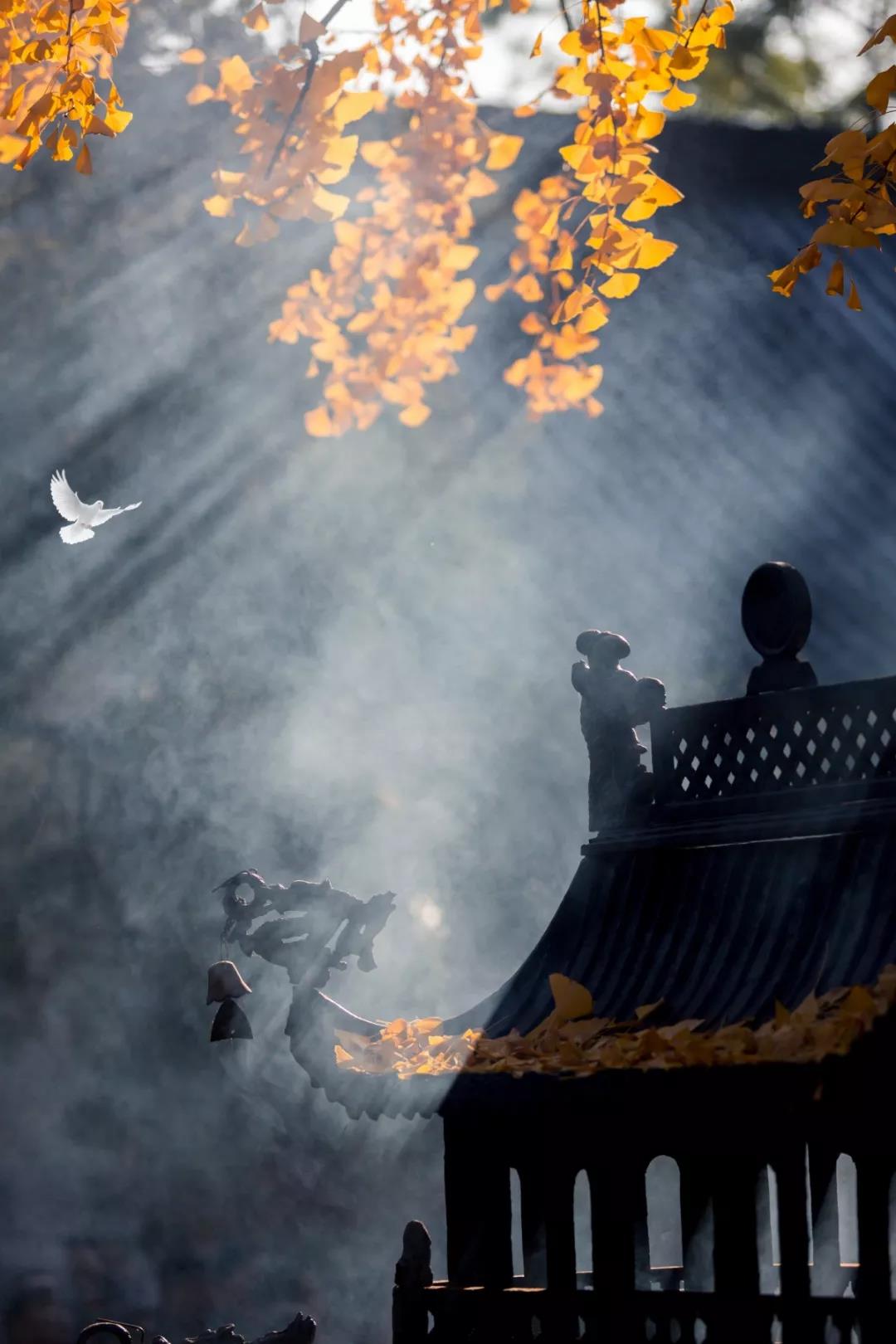 ������Ҫ�������彡���𣿿�����ʦ��¾�֪���ˣ�