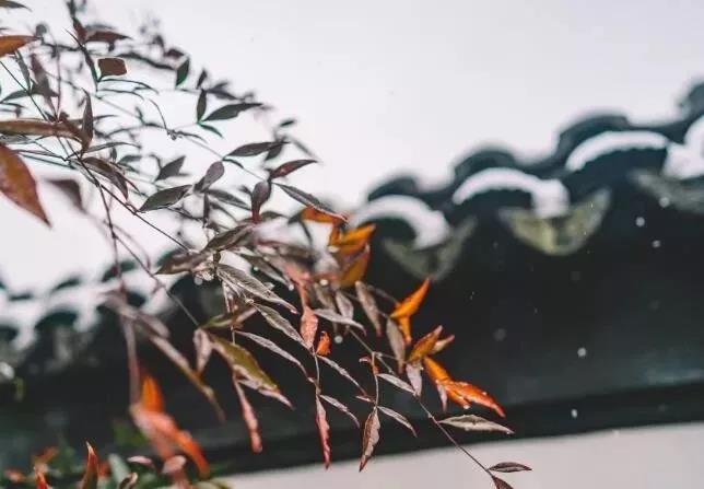 ӡ�ⷨʦ������Ϊ�����䷨��ʵ�����䷨������