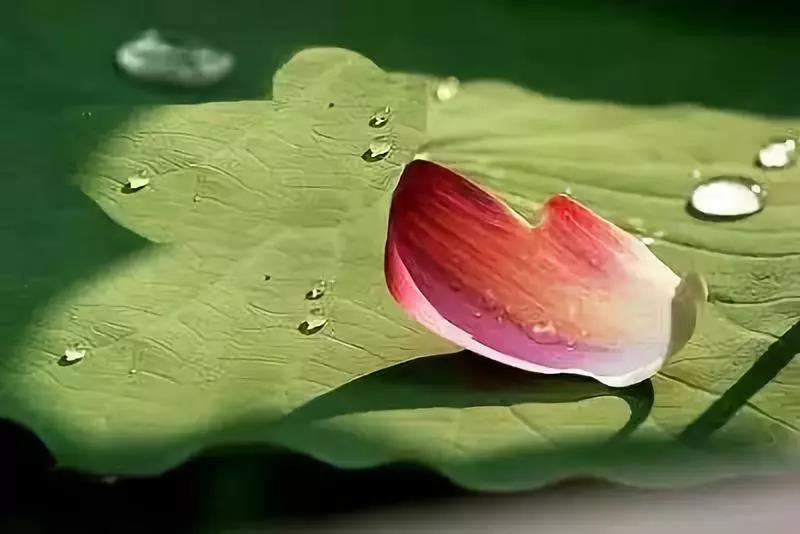 �������λã������þ��ξ��ѣ�