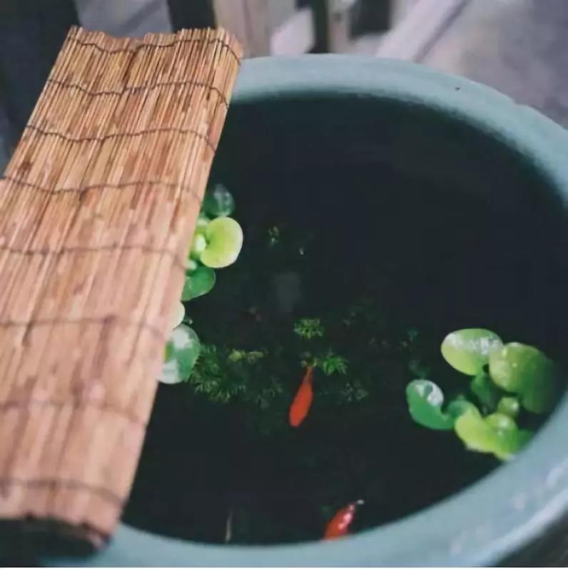 如瑞法师:一辈子急急忙忙苦追什么 如瑞法师:一辈子急急忙忙苦追什么