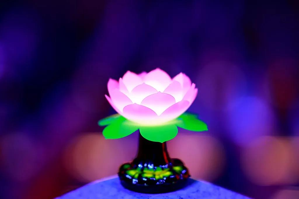 ���ߴ�ʦ����ħ����