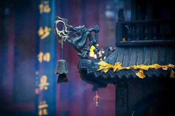 �ϻ��16�ԣ�����ֵǧ�𣬾��䳹��