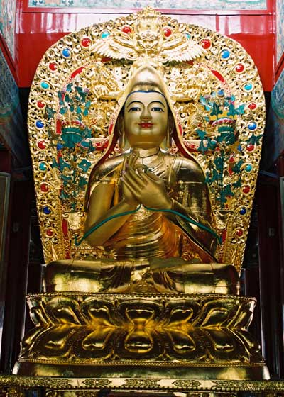 燃灯节!积福慧供灯共修(已圆满) 燃灯节!积福慧供灯共修(已圆满)