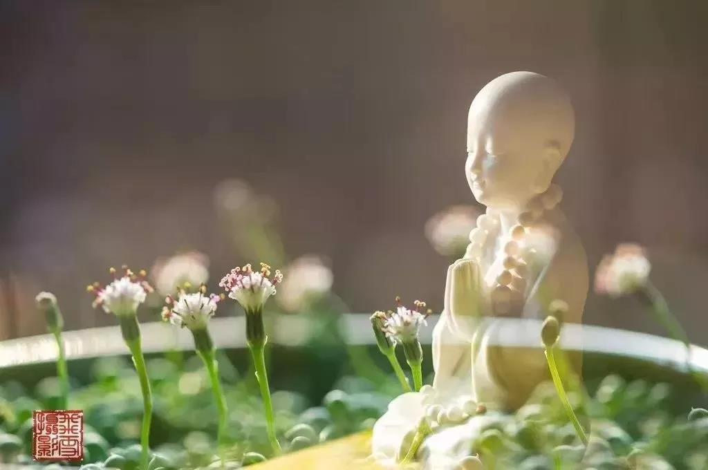 做梦好不好,是否有善恶之分? 做梦好不好,是否有善恶之分?