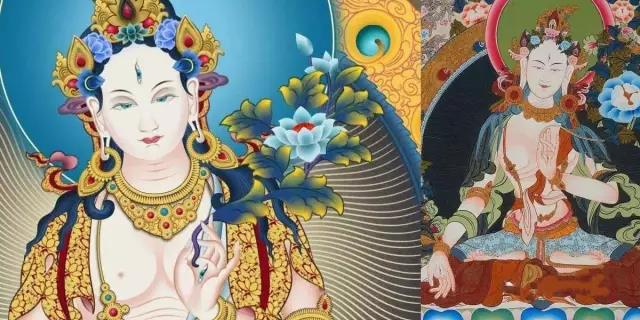 ��ʶ_|_���ͨ��������ʶ���������