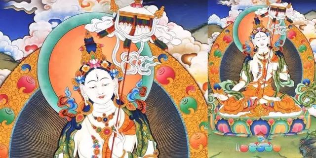 ��ʶ_|_���ͨ��������ʶ���������