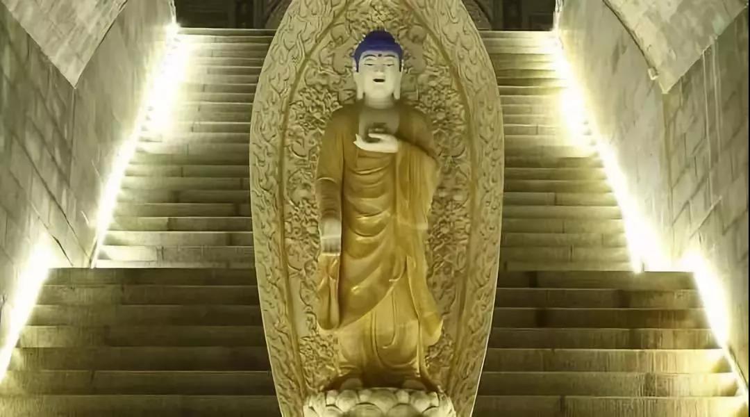 ��֪��������������������𣿴�������ʵϵ�����ӷ�����