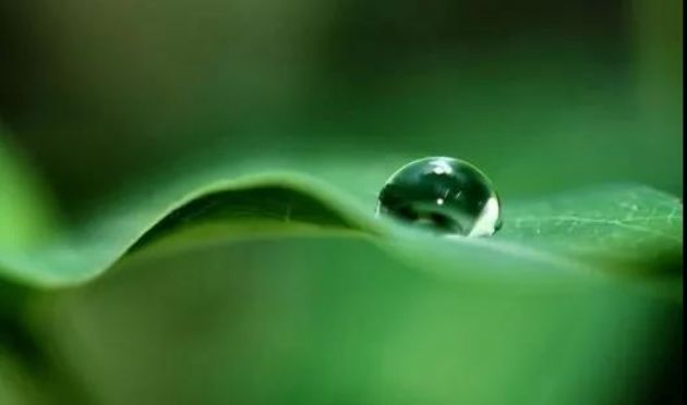 �����������Ƿǵ����ִ�����Զ�����Լ���