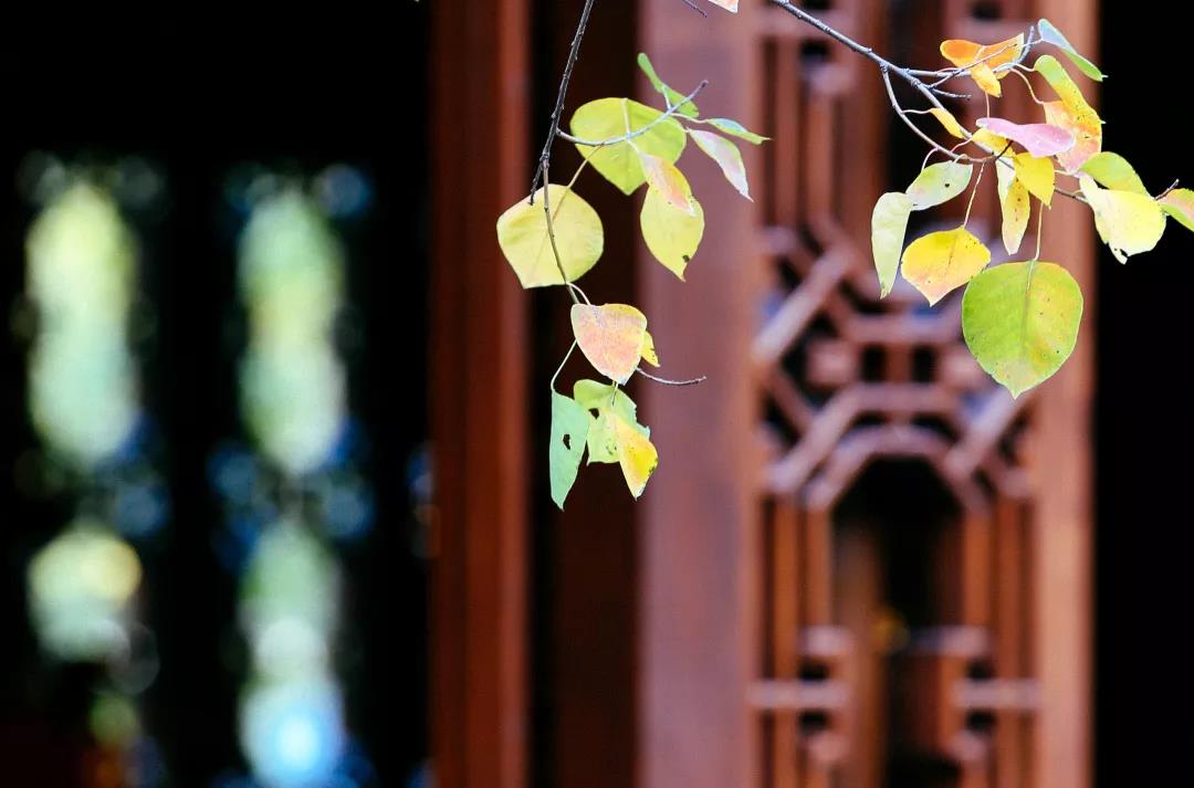 �����������Ƿǵ����ִ�����Զ�����Լ���