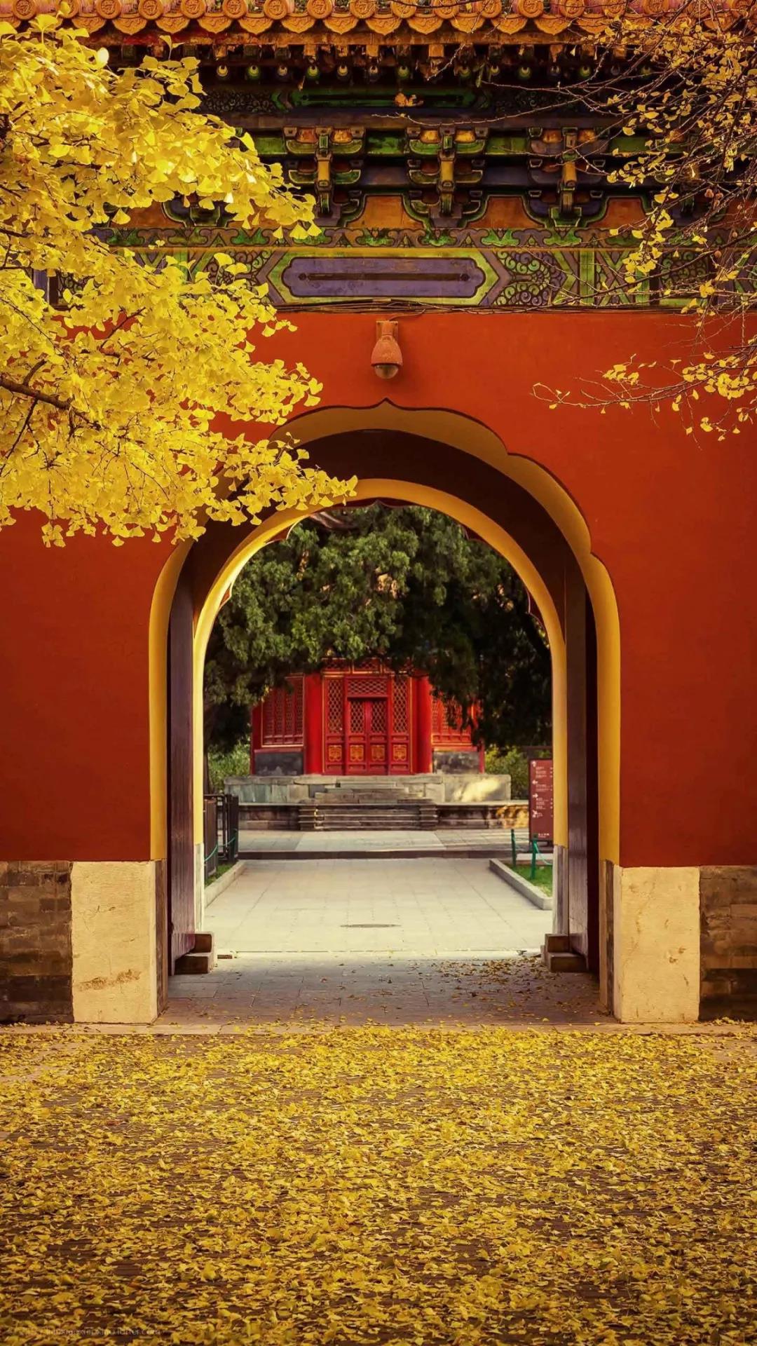 ��˵��Ը����Ҫ���ź�Ը�������ĸ�����Ҫ��