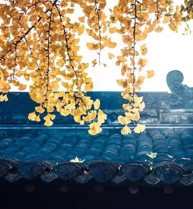 ���д����迪ʼ��16���������������