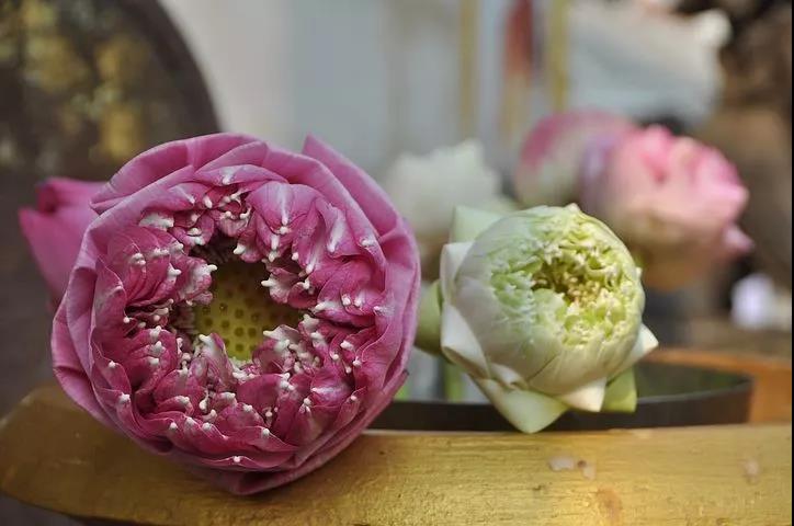 ���굽��Ժ����һ��Ҫ���ո��㡱��������¸�����𰸣�