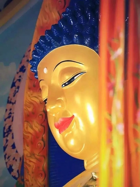 ӭ����������Ĳ���ɵ��գ������۹��ƹ��ޣ���Բ����