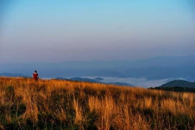 ����û�нݾ����ߣ�Ҫ����͵��