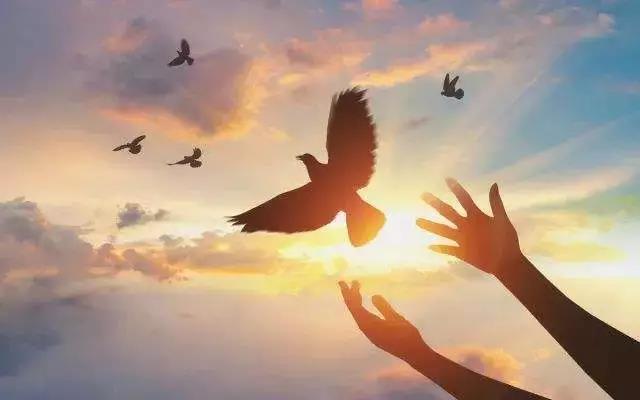 ���������ŷ���Щ���鲻Ҫ����