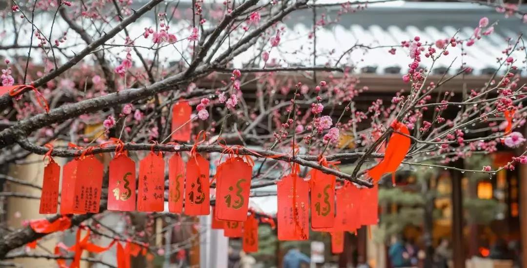 �����ŷ���ˣ��ֺ���ǰ�������ǰ�ȫ��