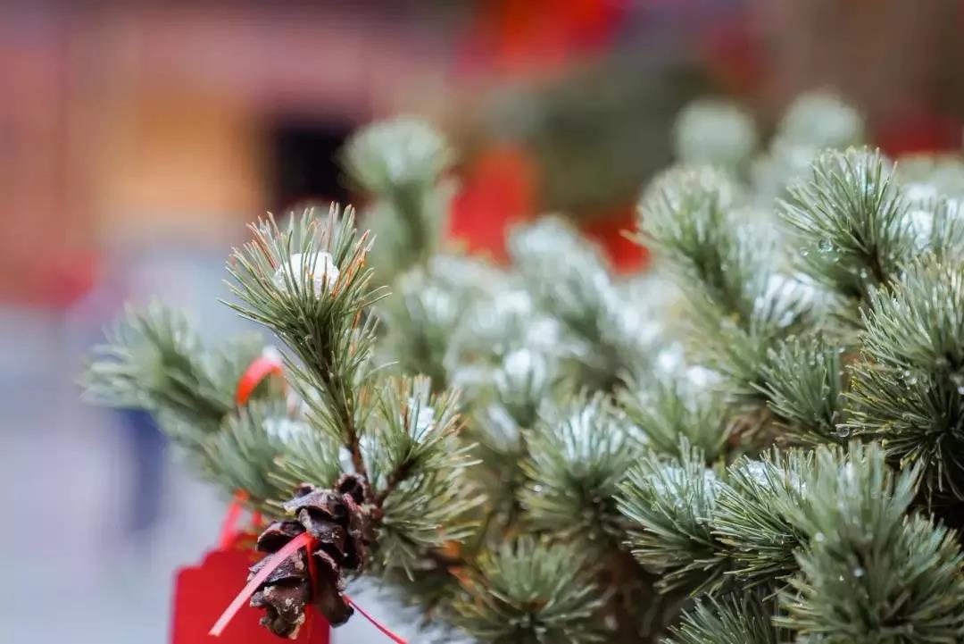 念佛使生与死都至善至美 念佛使生与死都至善至美