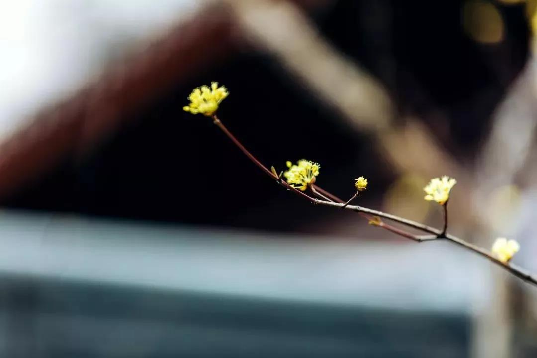 ��������һ����������д����������