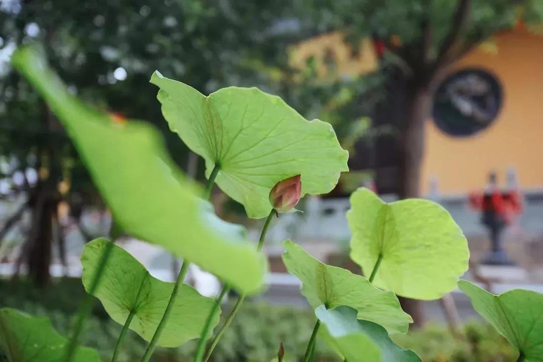 ��Ҫ����ҵ��ʽ���������������ʽ�����